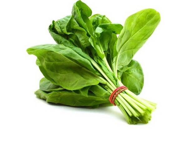 PALAK - BUNCH