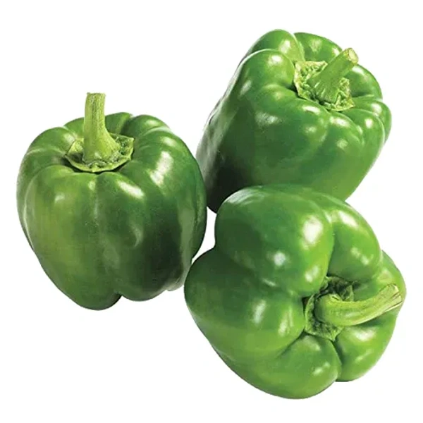 CAPSICUM (SHIMLA MIRCH) - 500 GM