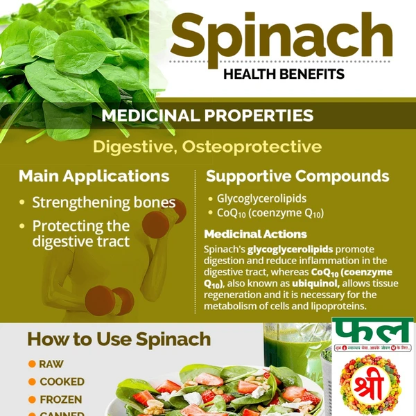 Fresh & Fine SPINACH (पालक) - 1