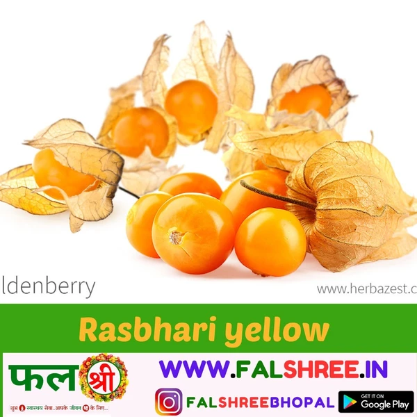 Rasbhari Yellow (रसभरी पीला) - 250