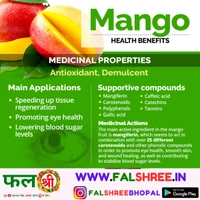 MANGO-(आम सफेदा)