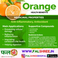 Orange माल्टा - 500