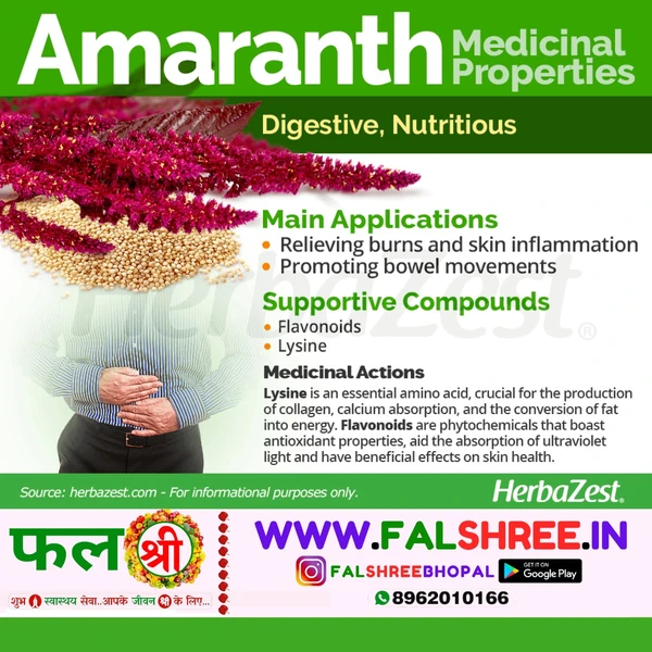 AMARANTH LEAVES (चोलाई लाल भाजी ) - 2