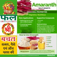 AMARANTH LEAVES (चोलाई लाल भाजी ) - 1