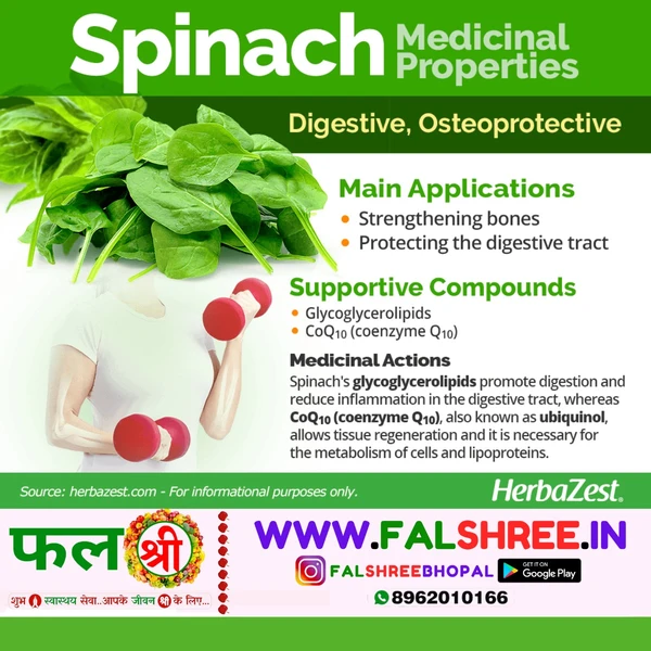 Fresh & Fine SPINACH (पालक)