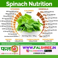 Fresh & Fine SPINACH (पालक)