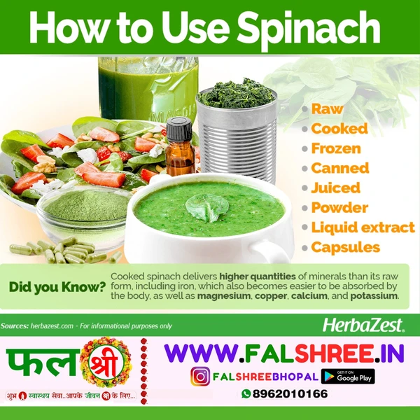 Fresh & Fine SPINACH (पालक) - 2