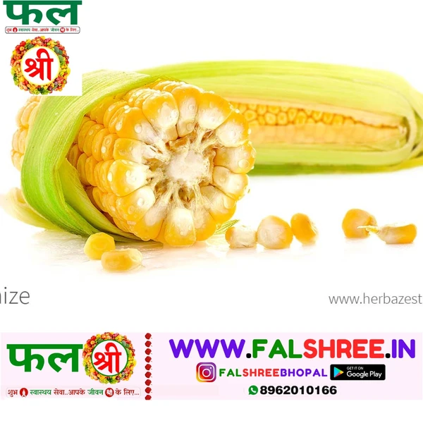 SWEET CORN/MAIZE (स्वीट कार्न भुट्टा/मक्का) - 10