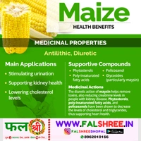 SWEET CORN/MAIZE (स्वीट कार्न भुट्टा/मक्का) - 2