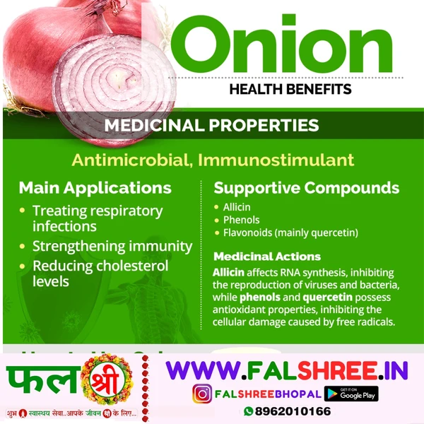 ONION NEW (प्याज नया) - 2kg