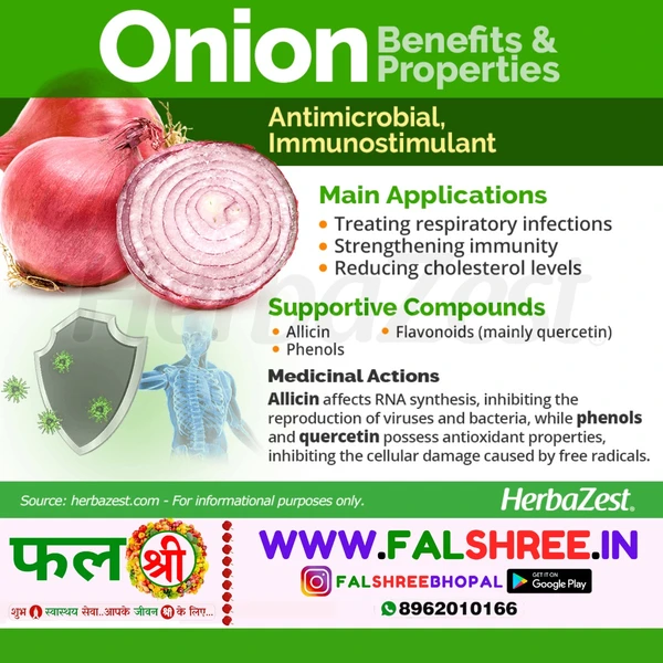 ONION NEW (प्याज नया) - 1kg