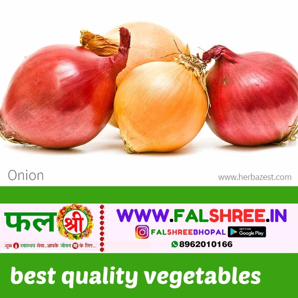 ONION NEW (प्याज नया) - 250