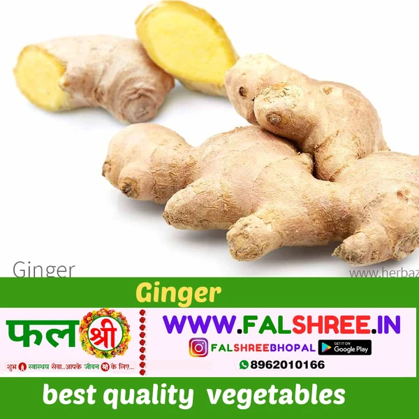 GINGER OLD (अदरक पुराना) - 250g