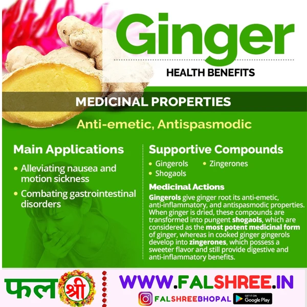 GINGER NEW (अदरक नया) - 250