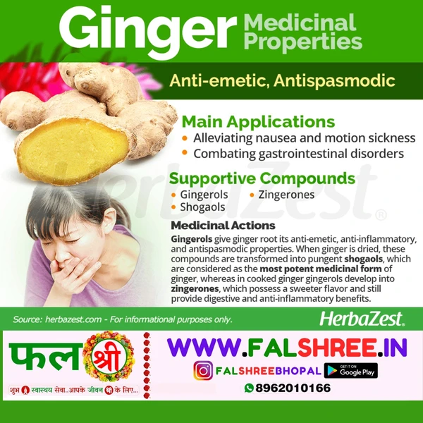 GINGER NEW (अदरक नया) - 500g