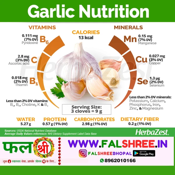 GARLIC OLD (लहसुन पुराना) - 250