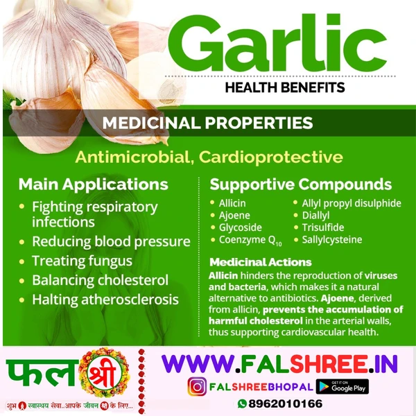 GARLIC NEW (लहसुन नया) - 250