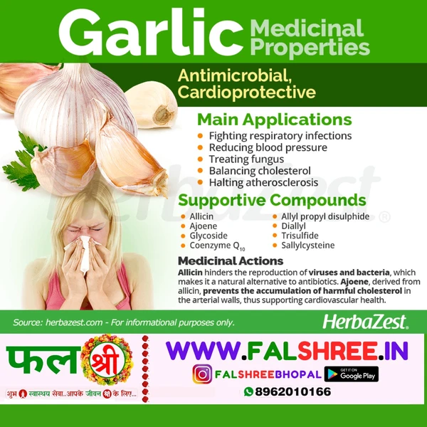 GARLIC Peeled (कली छीली हुई लहसुन)