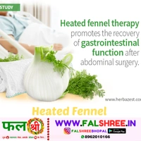FENNEL (हरा सोया ) - 250