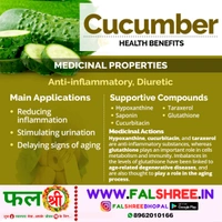 Cucumber Imported (�?�?��??��?�??��? �??��?�?��??) - 250