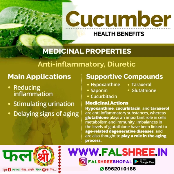 Cucumber Imported (विदेशी खीरा)  - 250