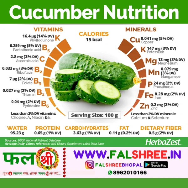 Cucumber Imported (विदेशी खीरा)  - 1KG