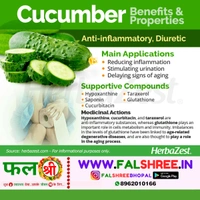 Cucumber Imported (�?�?��??��?�??��? �??��?�?��??) - 250