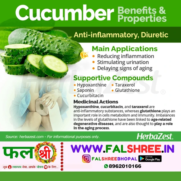 Cucumber Imported (विदेशी खीरा)  - 250