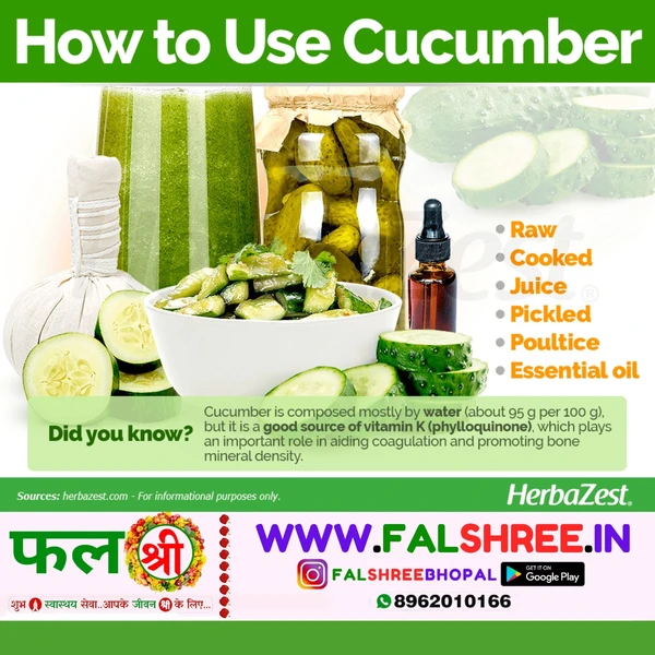 Cucumber Imported (विदेशी खीरा)  - 500g