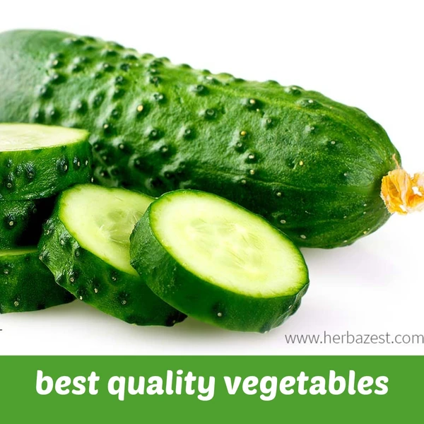 Cucumber Imported (विदेशी खीरा)  - 500g