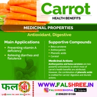 CARROT ORANGE (गाजर नारंगी) - 500g