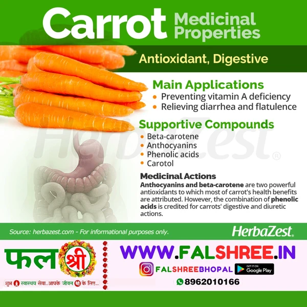 CARROT ORANGE (गाजर नारंगी) - 1KG