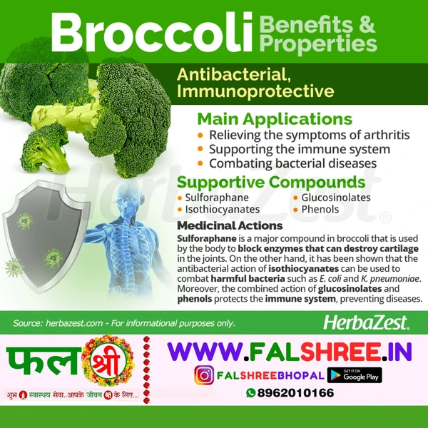 BROCCOLI (हरी गोभी) - 500g