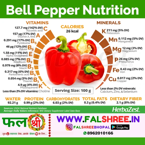 BELL PEPPER (कलरफुल शिमला मिर्च )