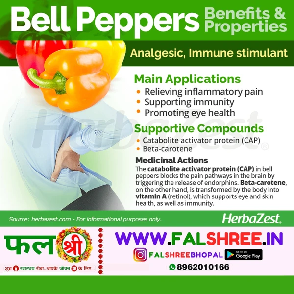 BELL PEPPER (कलरफुल शिमला मिर्च )