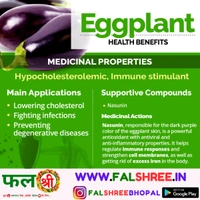 EGGPLANT (काला बड़ा बैगन ) - 1KG