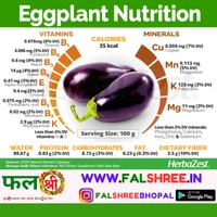 EGGPLANT (काला बड़ा बैगन ) - 1KG