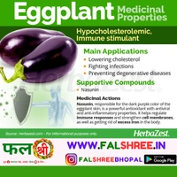 EGGPLANT (काला बड़ा बैगन ) - 1KG