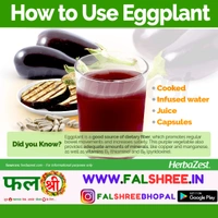 EGGPLANT (काला बड़ा बैगन ) - 1KG