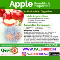 APPLE INDIAN (�??�??����??��?�?���? �??��?�?�) - 