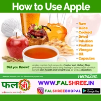 APPLE INDIAN (�??�??����??��?�?���? �??��?�?�) - 