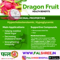 DRAGON (�?�����?���?�??�?? �?��?� ) - 1KG