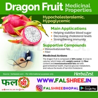 DRAGON (�?�����?���?�??�?? �?��?� ) - 1KG