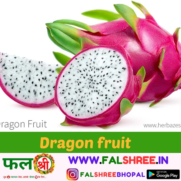 DRAGON (ड्रेगन फल ) - 500g