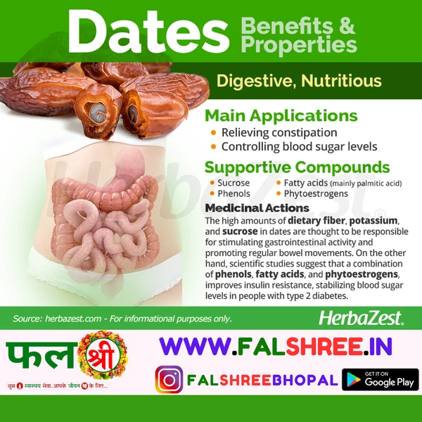 DATE FRUIT (खजूर)