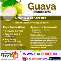 GUAVA DESI(�??�??�?���?�?? �??��?�??��?) - 1KG
