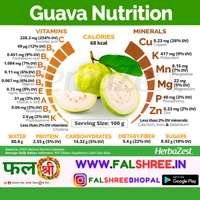 GUAVA DESI(�??�??�?���?�?? �??��?�??��?) - 1KG