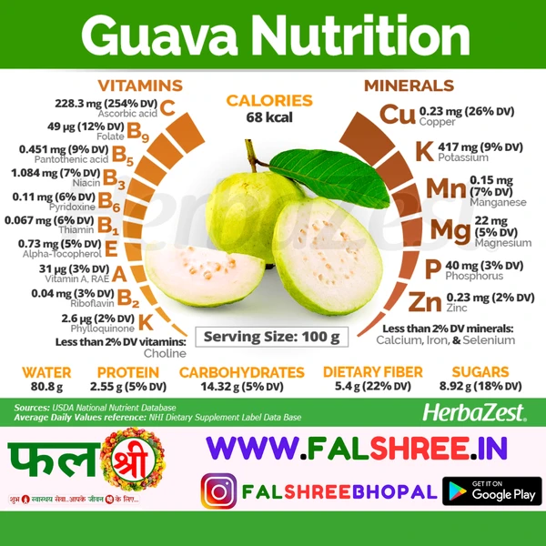 GUAVA DESI(अमरूद देसी)  - 1KG