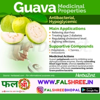 GUAVA DESI(�??�??�?���?�?? �??��?�??��?) - 1KG