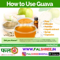 GUAVA DESI(�??�??�?���?�?? �??��?�??��?) - 1KG